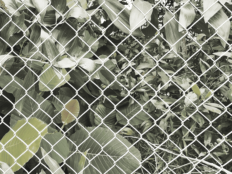 GARDEN FENCE